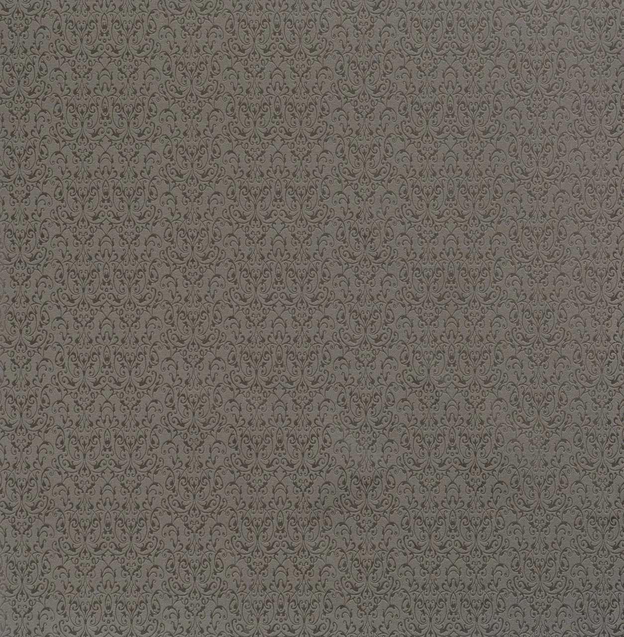 Mystic Vine Trail Black 48634 Wallpaper